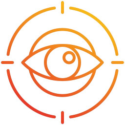 vision