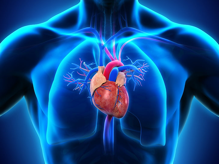 Cardiac Range-image