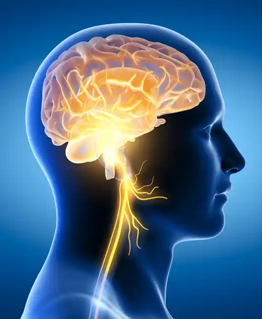 Neurology Range-image